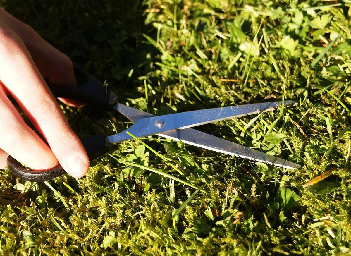 Lawn maintenance Phoenix